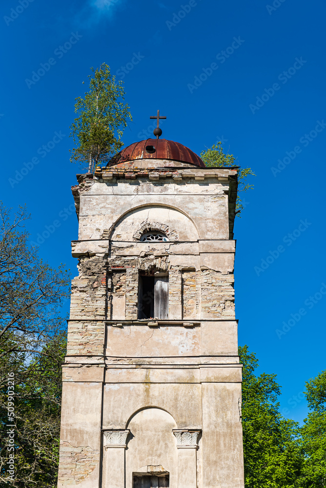Ruins of Saliena lutheran church, Latvia. A tree grows on the roof of the tower.