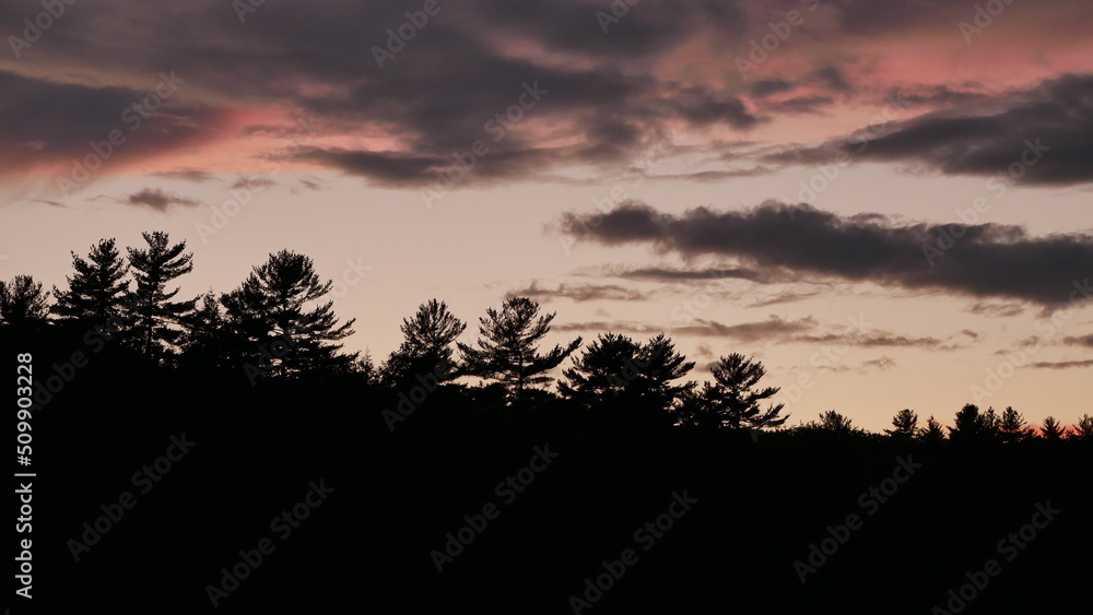 Sunset Over Silhouette Trees