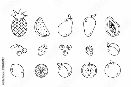 Vector set of linear icons of fruits and berries.