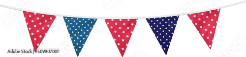 Pink Blue Dotted Flags Garland Element