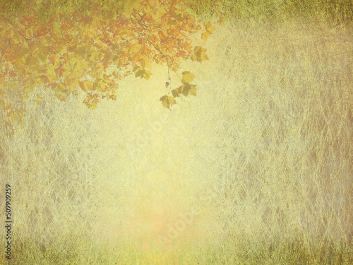 プラタナスの風景