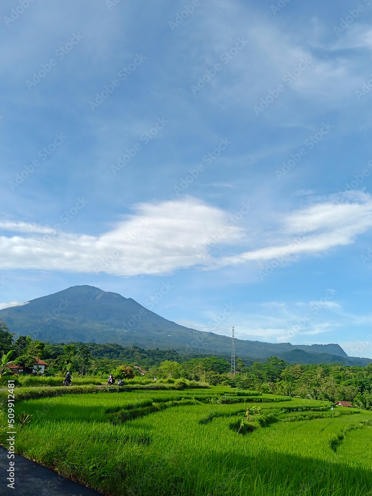 Mount Ciremai, with green rice fields in majalengka west java