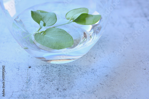 Green leaves floating in a glass of water on a stone table.