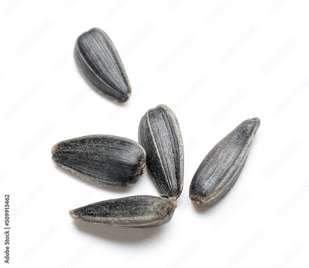 custom made wallpaper toronto digitalUnpeeled sunflower seeds on white background