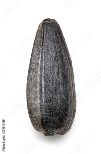 Wallpaper Mural Unpeeled sunflower seed on white background Torontodigital.ca