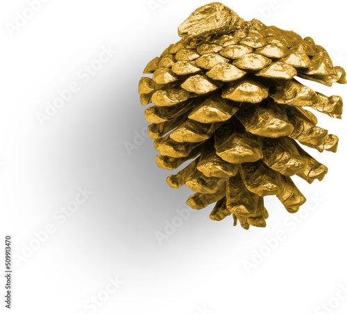 Pinecone Metallic photo