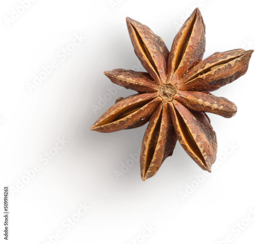 Star Anise