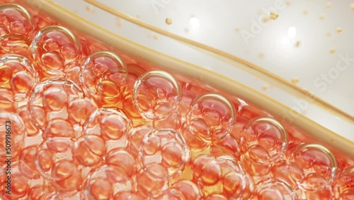 Animation serum molecule through the skin layer and reduce up saggy skin of the skin cell. Serum for lightening Dark skin tone changed to bright and repair wrinkles.	