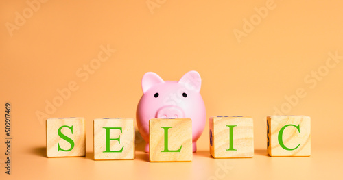 Selic. A palavra Selic escrita em cubos de madeira em fundo laranja com um cofrinho na composição da imagem. Economia brasileira, Brasil, Taxa básica de juros. photo