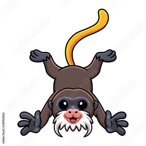 Cute little tamarin monkey cartoon posing