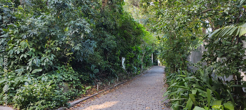 sea club house cement building texture stone granite mineral cactus foliage vegetation forest scrub tropical dry hill background pattern dust path asphalt floor step asphalt street alameda marmore sky