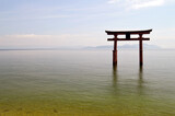japanese torii gate on lake