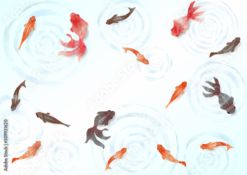 金魚と波紋の夏らしい涼しげな水彩背景