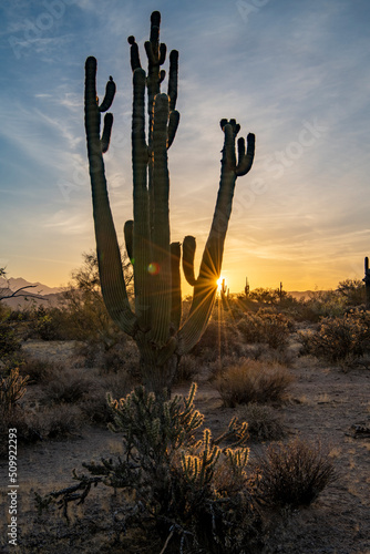 Fotografia Landscape photograph of the sunrise in the Tonto national Forest in Arizona