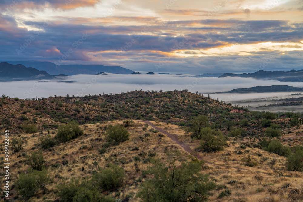 Photograph of Tonto National Forest at sunrise with fog rolling in