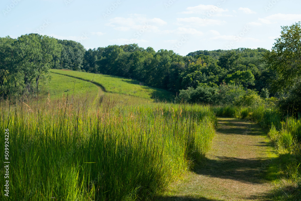 Obraz premium prairie