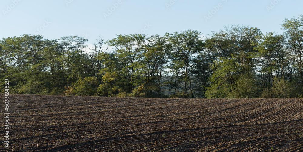 Agricultural lands are plowed, and prepared for vegetation.