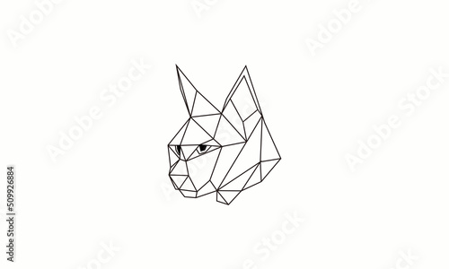 geometri cat
