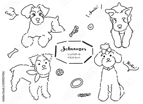 シュナウザーの手書きイラストセット　線画