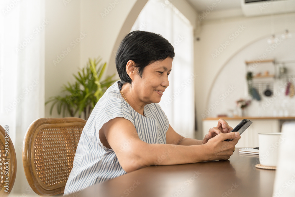 Happy Senior mature female sitting using smartphone at home, Leisure, Active Lifestyle Happy Senior mature female sitting using smartphone at home, Leisure, Active Lifestyle