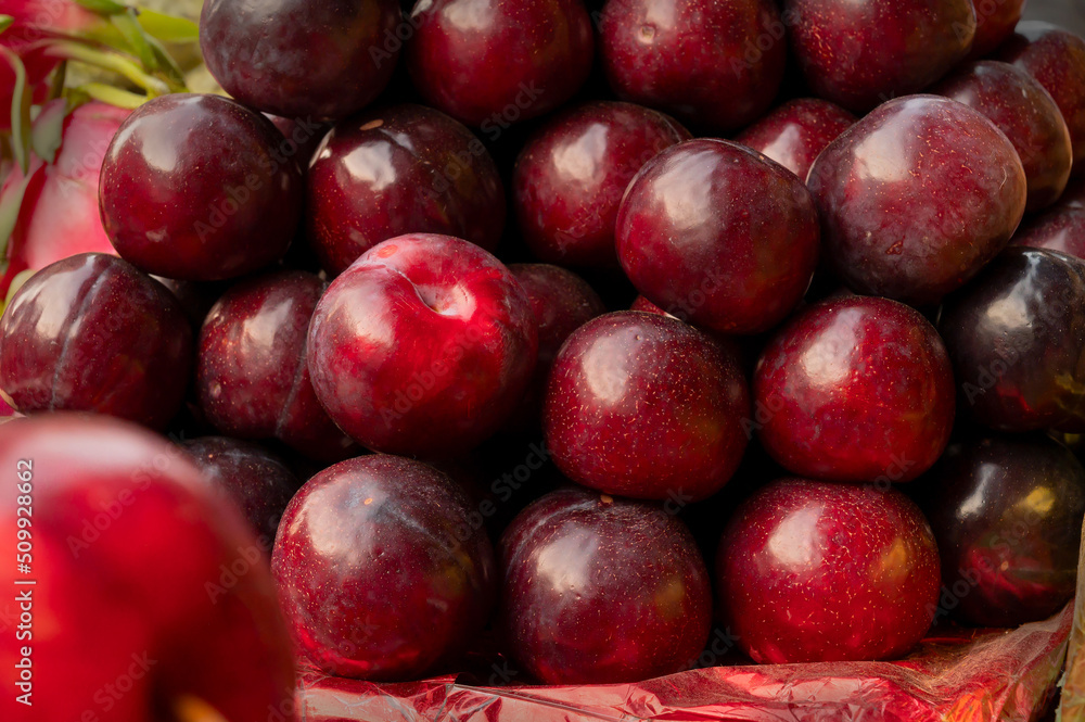 Aalu bhukhara fruits or plum fruits, genus Prunus, are being sold in New Market area, Kolkata, West Bengal, India.