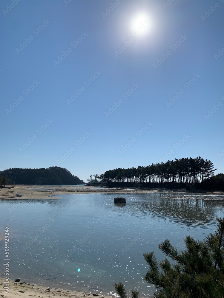 충남 태안 안면도 운여해수욕장, 소나무, 운여해변 풍경 / Unyeo Beach with Pine Tree in Anmyeon-do, Chungcheongnam-do 