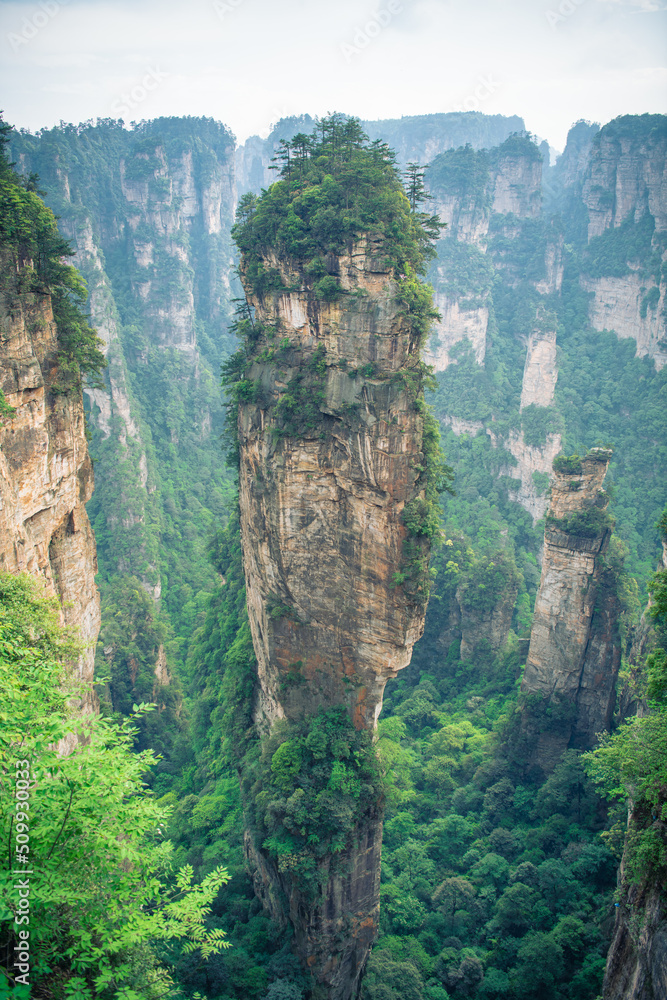 Avatar Hallelujah mountain in full length in Wulingyuan National Forest Park, Zhangjiajie, Hunan, China, wallpaper, background