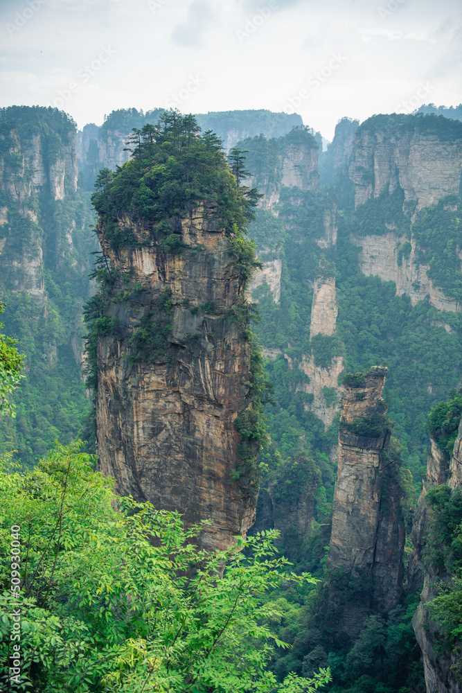 Vertical image of the Avatar Hallelujah mountain behind the trees in Wulingyuan National Forest Park, Zhangjiajie, Hunan, China, copy space, background Vertical image of the Avatar Hallelujah mountain behind the trees in Wulingyuan National Forest Park, Zhangjiajie, Hunan, China, copy space, background
