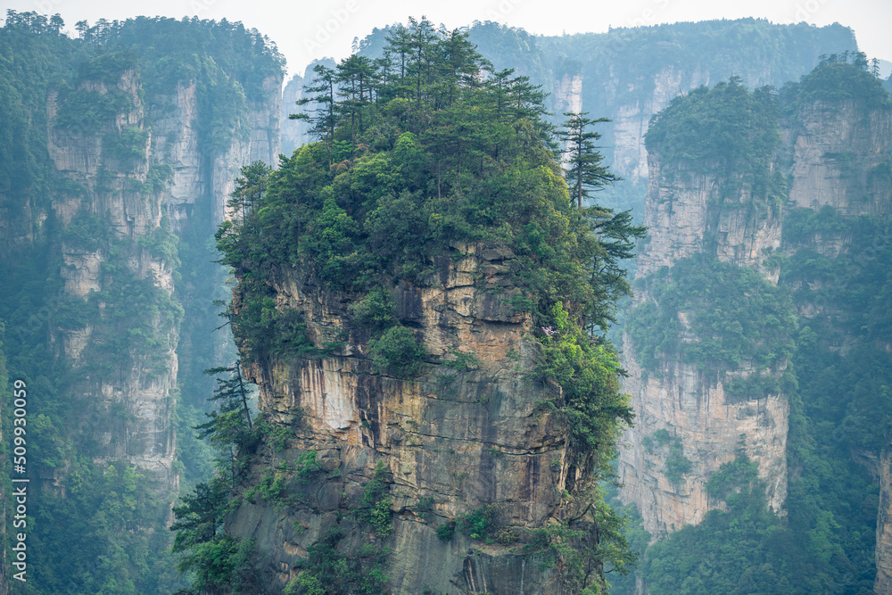 Obraz premium Close up horizontal image of the top of Avatar Hallelujah mountain in Wulingyuan National Forest Park, Zhangjiajie, Hunan, China, background, copy space for text