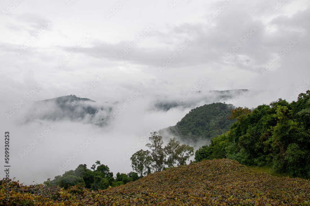 clouds over the mountains