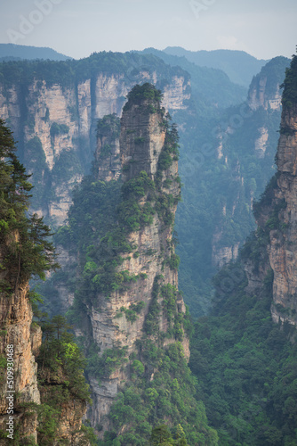 Flying limestone mountains of Wulingyuan National forest park in Zhangjiajie  Hunan  China. An inspiration for the Avatar movie