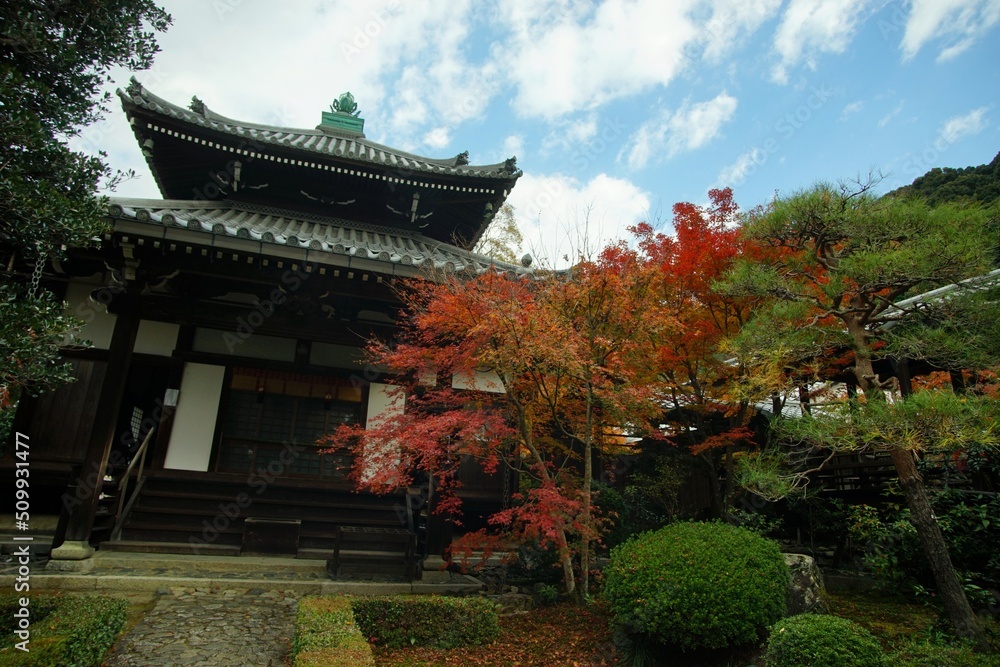 Kyoto Anrakuji temple in autumn leaves season