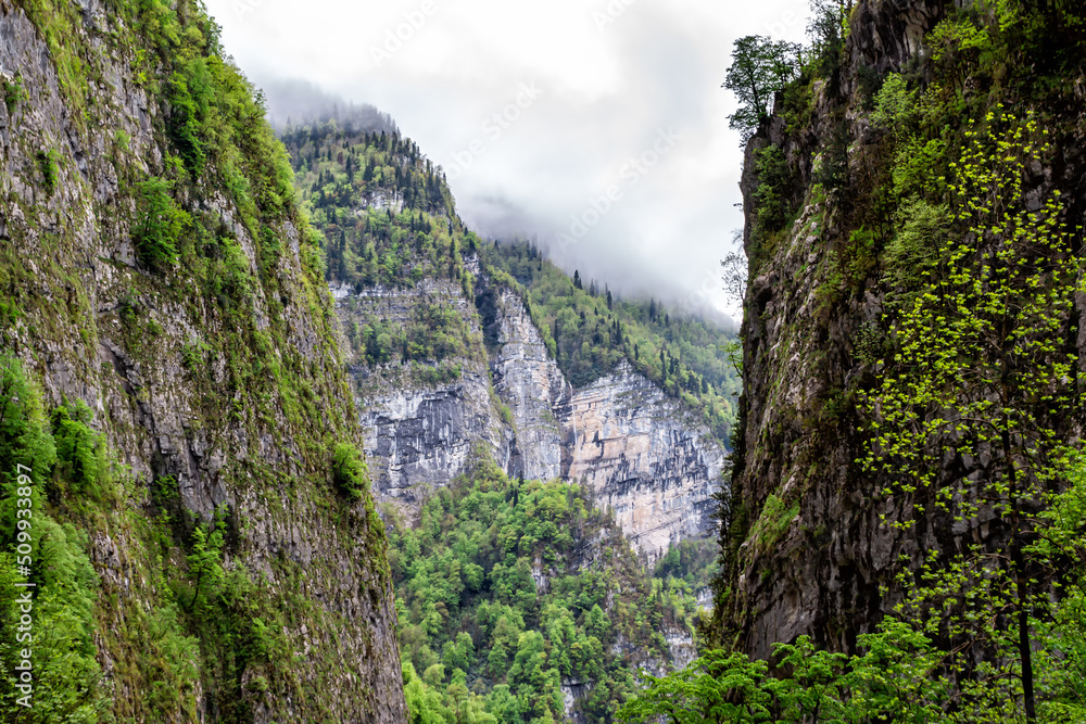 Mountain gorge with forest covered with low overcast clouds