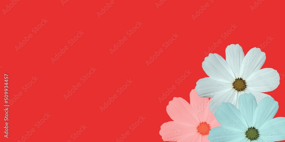 Naklejka premium flowers on red background
