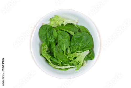 Fresh Lettuce with White Background and Clipping Path
