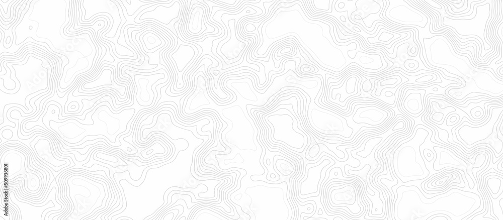 Background of the topographic map. Topographical background. Linear graphics. Vector illustration. Topography and geography map grid abstract backdrop, Luxury black abstract line art.