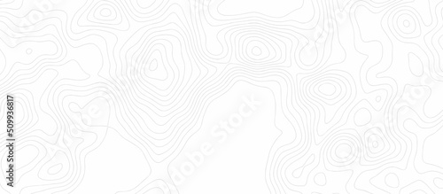 vector topographic map white background. Topography and geography map grid abstract backdrop. The stylized height of the topographic contour in lines and contours.