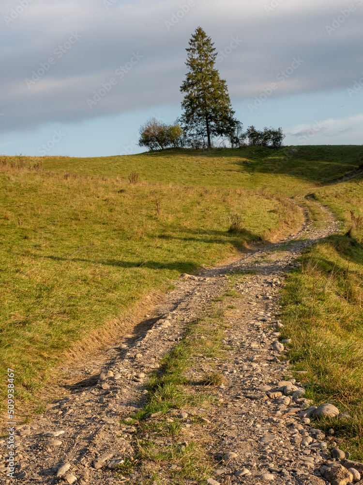 Obraz premium Dirt road, Autumn landscape, Autumn in the mountains, Mountain landscape, Pieniny, Poland