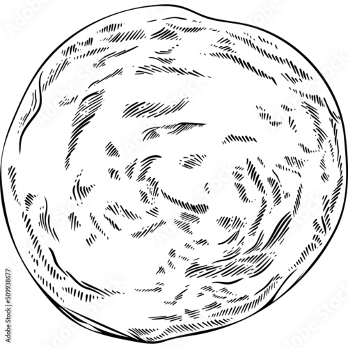 Hand drawn Indian Roti