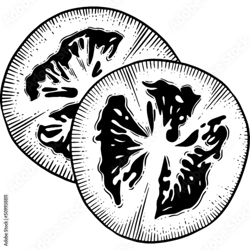 Hand drawn Tomato Slices
