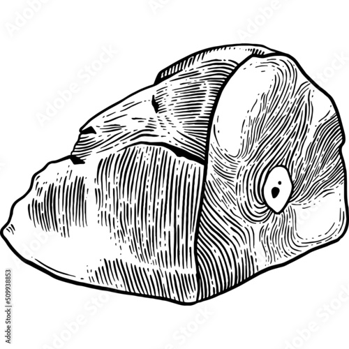 Hand drawn Fresh Ham