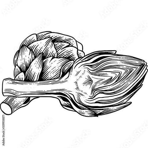 Hand drawn Artichokes