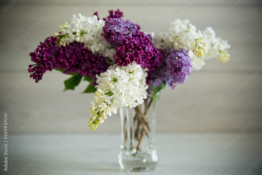 Bouquet of beautiful spring lilacs of different colors Bouquet of beautiful spring lilacs of different colors