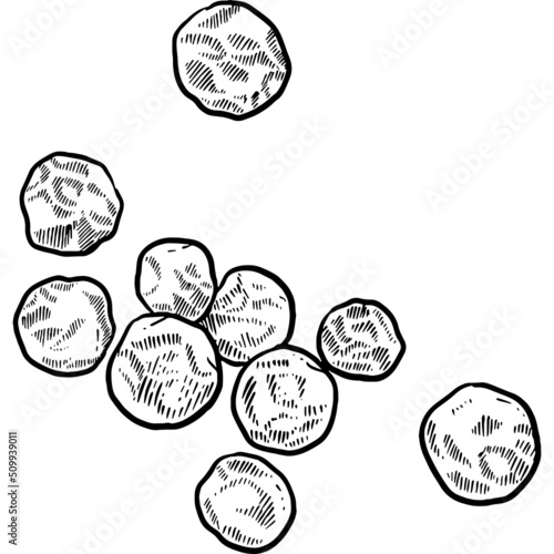 Hand drawn Peppercorns