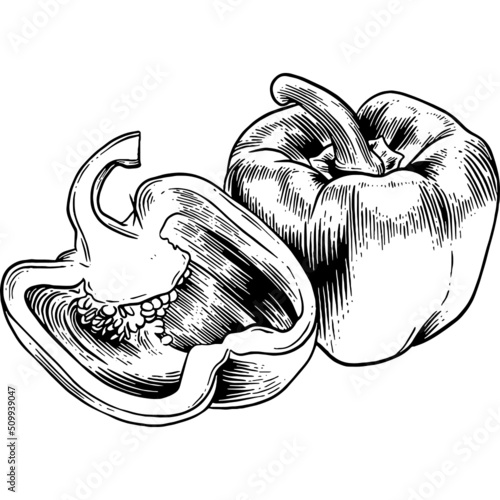 Hand drawn Bell Peppers