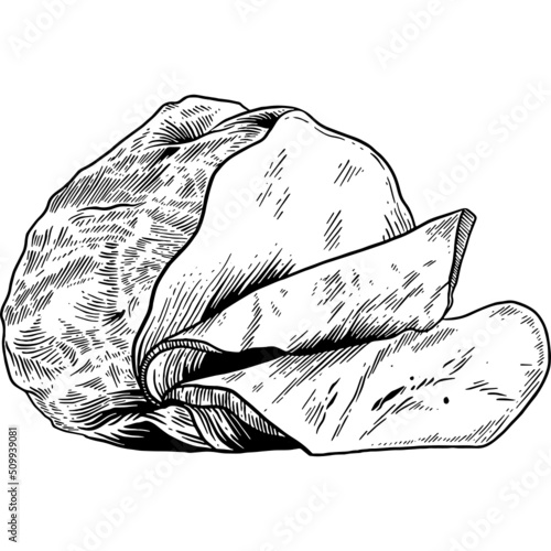 Hand drawn Ham Slices