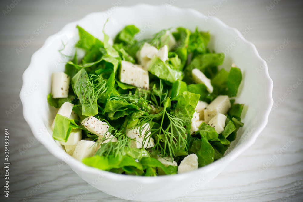 fresh green lettuce salad with mozzarella and herbs in a bowl fresh green lettuce salad with mozzarella and herbs in a bowl