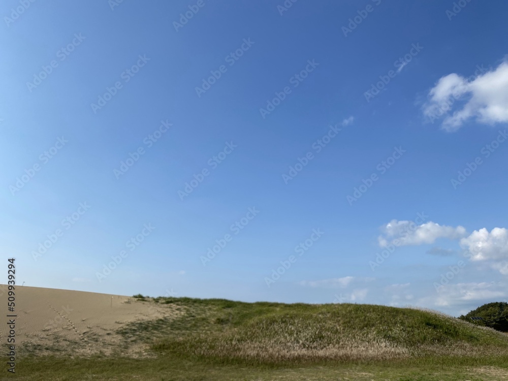 Sinduri Coastal Sand Dunes in Korea Sinduri Coastal Sand Dunes in Korea