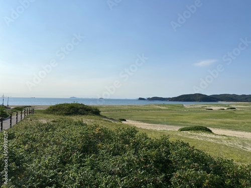 Sinduri Coastal Sand Dunes in Korea