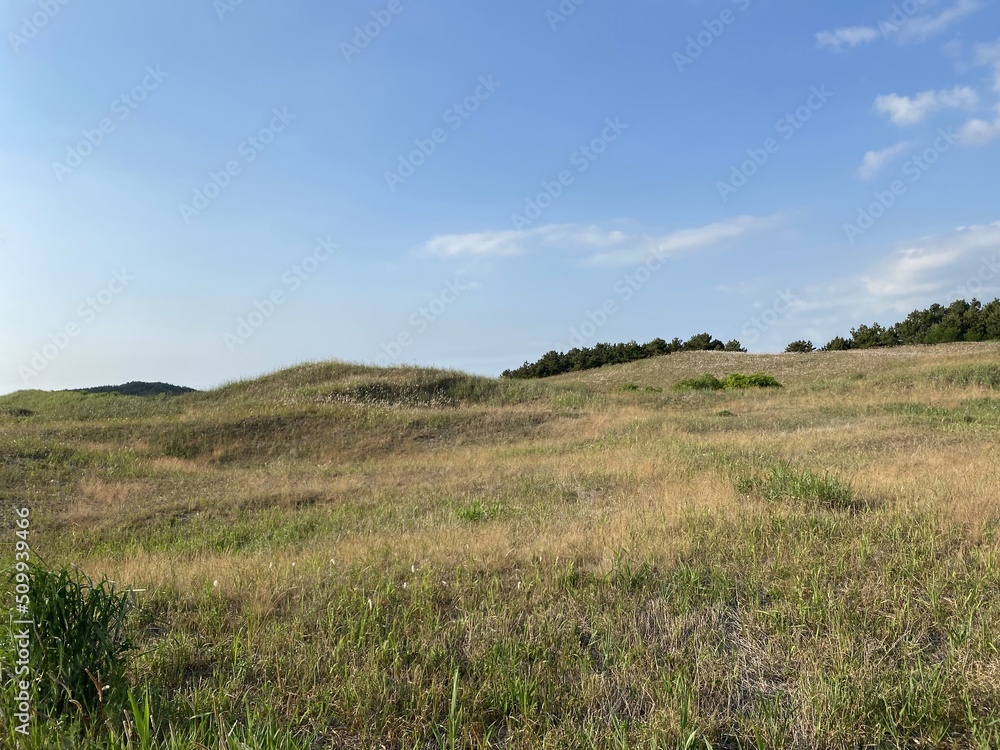 Sinduri Coastal Sand Dunes in Korea